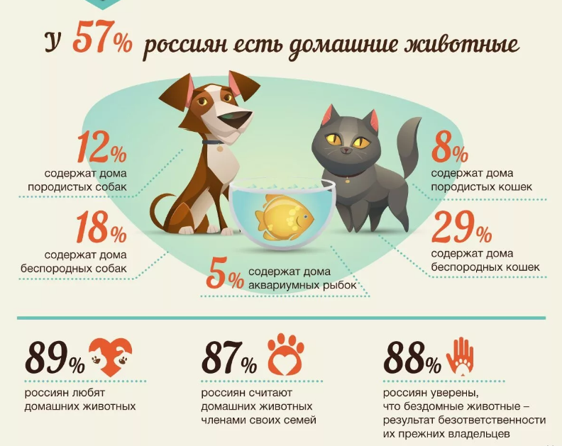 Бизнес на животных статистика по РФ Bizznes