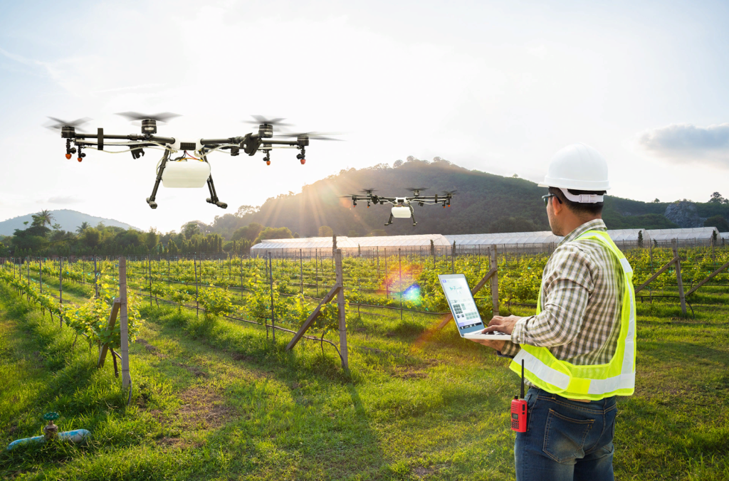 image Агродроны (сельскохозяйственные дроны) как бизнес Bizznes