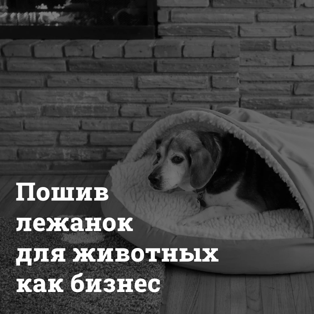 poshiv-lezhanok-dlya-zhivotnyh-na-zakaz-kak-biznes Пошив лежанок для животных Bizznes