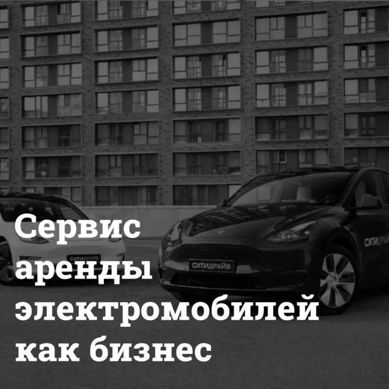 servis-arendy-elektromobilej-kak-biznes Сервис аренды электромобилей Bizznes